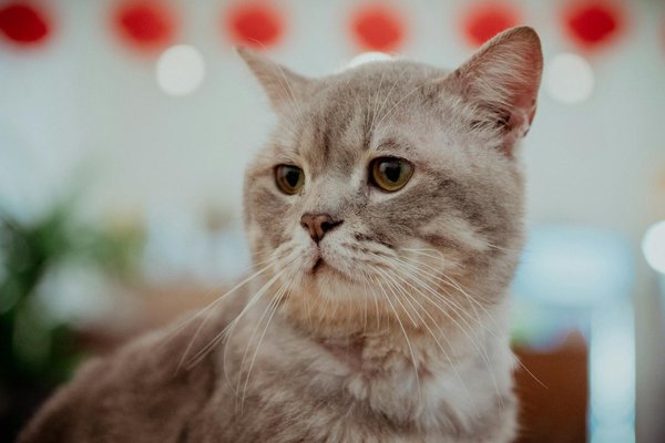 Top Techniques for Fostering Loving Connections to Boost Your Mental Health